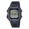 WS B1000